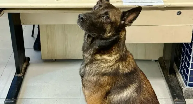 Polícia Militar apreende mais de 3.500 drogas na Grande Vitória e São Mateus