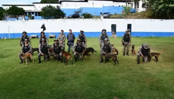 Polícia Militar do ES apresenta 14 novos cães farejadores