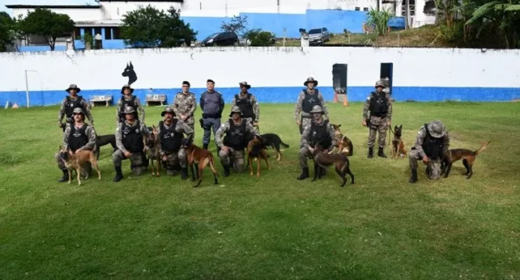 Polícia Militar do ES apresenta 14 novos cães farejadores
