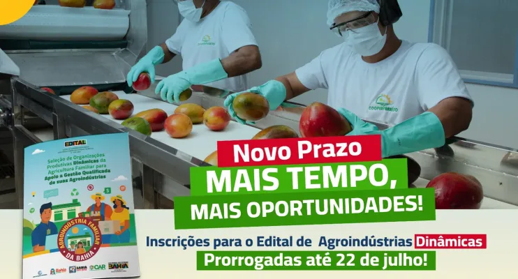 Prazo prorrogado para Edital de Apoio às Agroindústrias Dinâmicas na Bahia