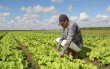 Prefeitura da Serra abre inscrições para curso de gestão voltado a produtores rurais