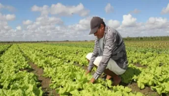 Prefeitura da Serra abre inscrições para curso de gestão voltado a produtores rurais