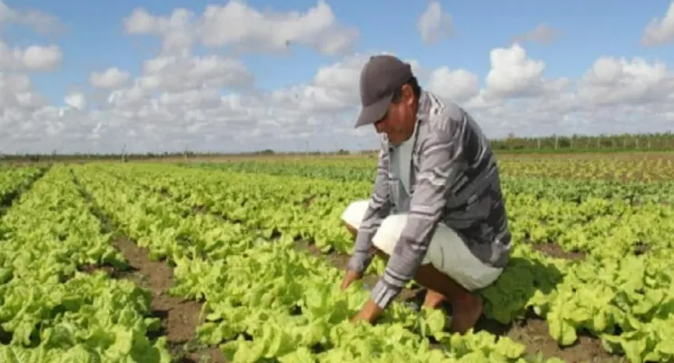 Prefeitura da Serra abre inscrições para curso de gestão voltado a produtores rurais