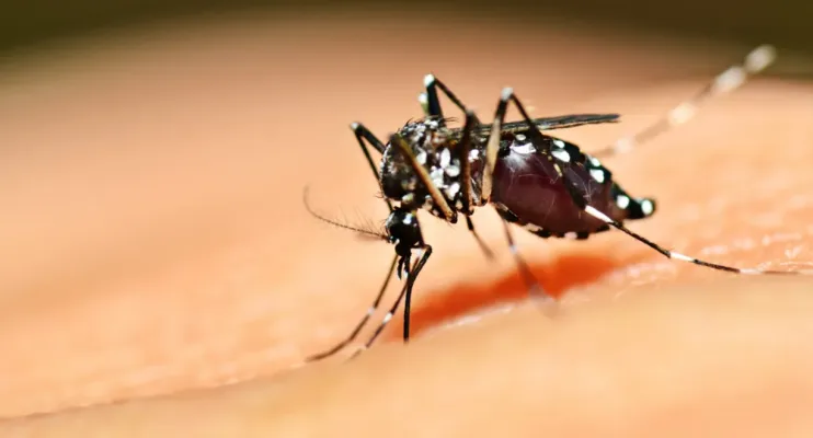Prefeitura de Jaguaré convoca reunião emergencial para intensificar combate à dengue
