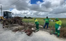 Prefeitura de Jaguaré realiza mutirão de limpeza em Palmito e reforça combate ao mosquito da dengue