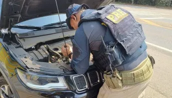 PRF recupera mais de 1,6 mil veículos nas rodovias federais do Espírito Santo em cinco anos