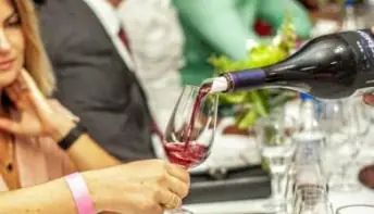 Primeira plataforma de financiamento coletivo do mundo do vinho no Brasil é lançada em Vitória