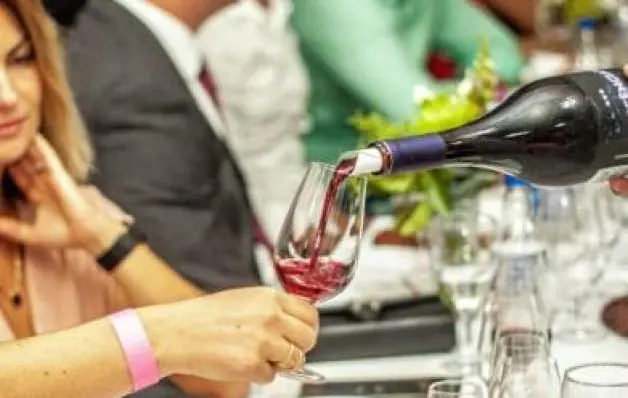 Primeira plataforma de financiamento coletivo do mundo do vinho no Brasil é lançada em Vitória