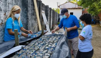 Projeto Mares inicia produção de sementeiras para cultivo de corais nativos na BTS
