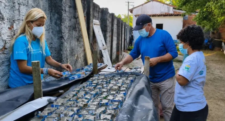 Projeto Mares inicia produção de sementeiras para cultivo de corais nativos na BTS