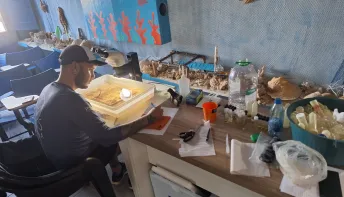 Projeto Mares participa de pesquisa que testa espécies nativas como barreira a invasores