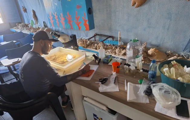 Projeto Mares participa de pesquisa que testa espécies nativas como barreira a invasores