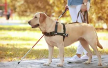 Quando a coragem encontra um novo caminho