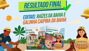 Resultado dos editais Galinha Caipira da Bahia e Raízes da Bahia prevê mais de R$ 73 milhões em investimentos