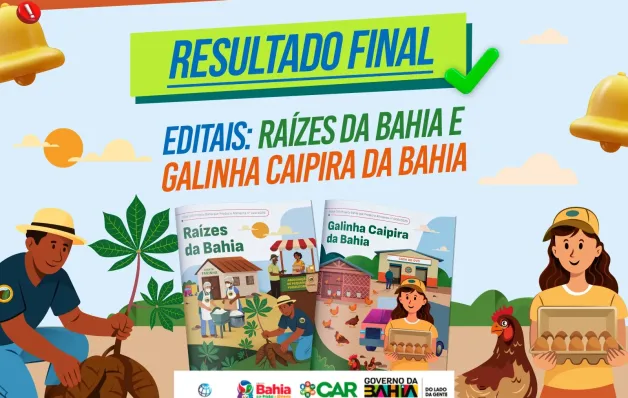 Resultado dos editais Galinha Caipira da Bahia e Raízes da Bahia prevê mais de R$ 73 milhões em investimentos
