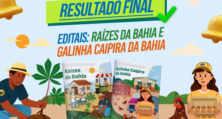 Resultado dos editais Galinha Caipira da Bahia e Raízes da Bahia prevê mais de R$ 73 milhões em investimentos