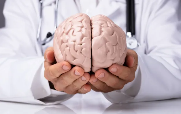 Sal em excesso pode contribuir para a disfunção cerebral, diz estudo