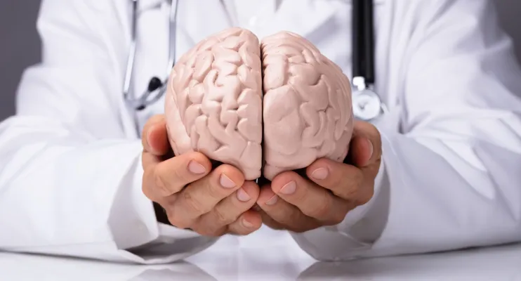 Sal em excesso pode contribuir para a disfunção cerebral, diz estudo