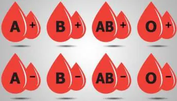 Sangue incompatível pode apresentar risco para gestação: entenda!