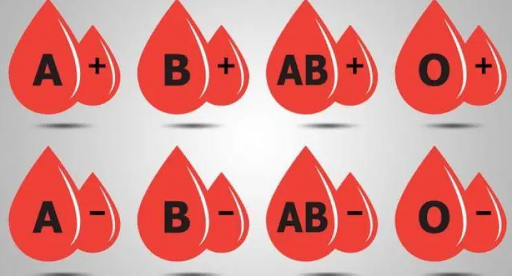 Sangue incompatível pode apresentar risco para gestação: entenda!