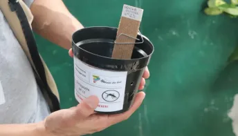 São Gabriel da Palha se destaca no combate ao mosquito da dengue com uso de ovitrampas