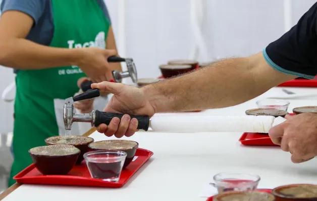 Secretaria de Agricultura abre inscrições para curso gratuito de classificação e degustação de café