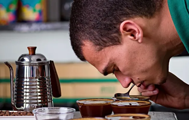 ‘Segmento de cafés especiais da Bahia tem potencial de crescimento’, apontam especialistas