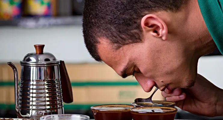 ‘Segmento de cafés especiais da Bahia tem potencial de crescimento’, apontam especialistas