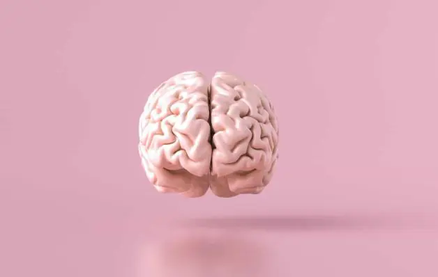 Seis atitudes comuns que prejudicam (e muito) o cérebro