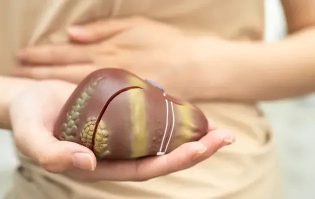 Seis bebidas que ajudam a limpar o seu fígado de forma natural