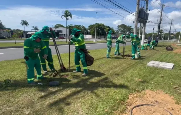 Serra lança Plano Municipal de Arborização com foco na sustentabilidade e qualidade de vida