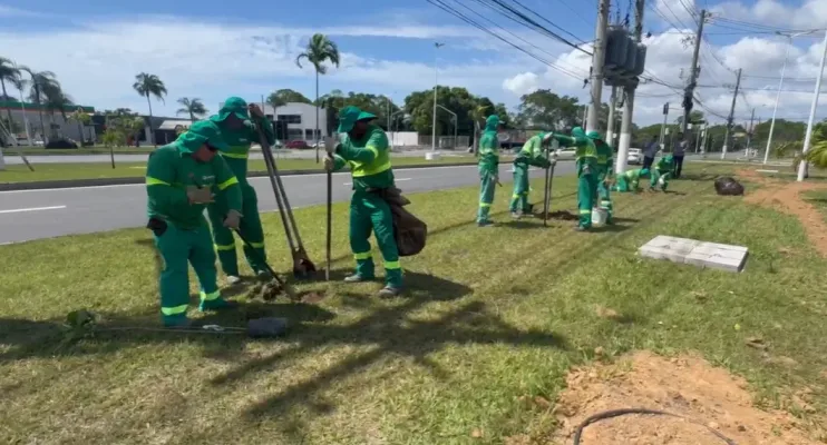 Serra lança Plano Municipal de Arborização com foco na sustentabilidade e qualidade de vida