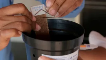 Sesa amplia estratégia de vigilância e monitoramento do Aedes aegypti no Espírito Santo