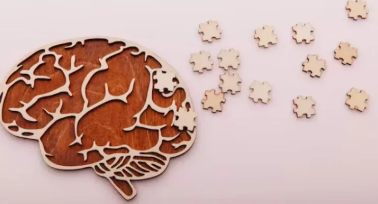 Sete alimentos que previnem Alzheimer e outras demências