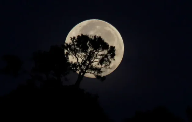 Superlua poderá ser vista em todo o Brasil