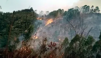 Suspeito de Iniciar Incêndio é Preso em Marechal Floriano