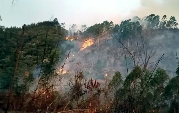 Suspeito de Iniciar Incêndio é Preso em Marechal Floriano