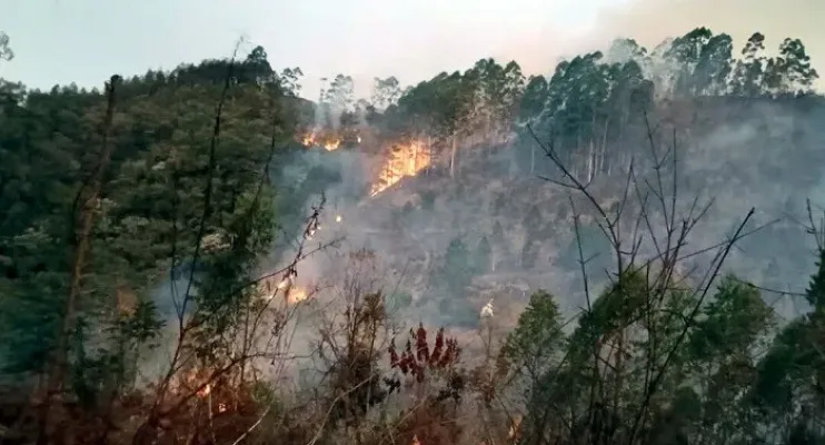 Suspeito de Iniciar Incêndio é Preso em Marechal Floriano