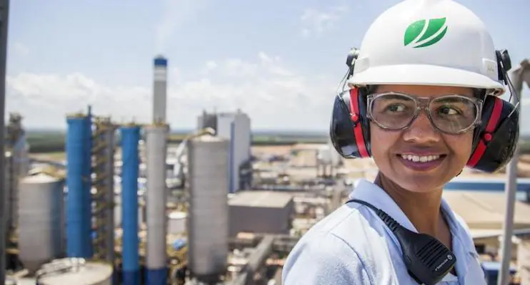 Suzano está com inscrições abertas para o Programa de Estágio Técnico 2023 