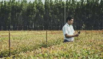Suzano lança desafio para fornecedores em busca de alternativas ao consumo do plástico