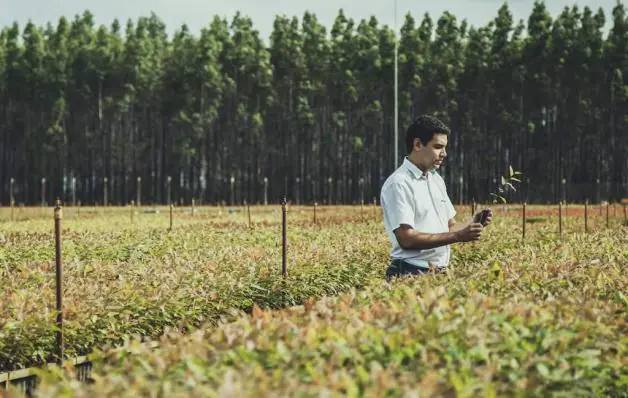 Suzano lança desafio para fornecedores em busca de alternativas ao consumo do plástico