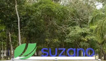 Suzano lança venture capital com US$ 70 milhões em recursos para impulsionar startups