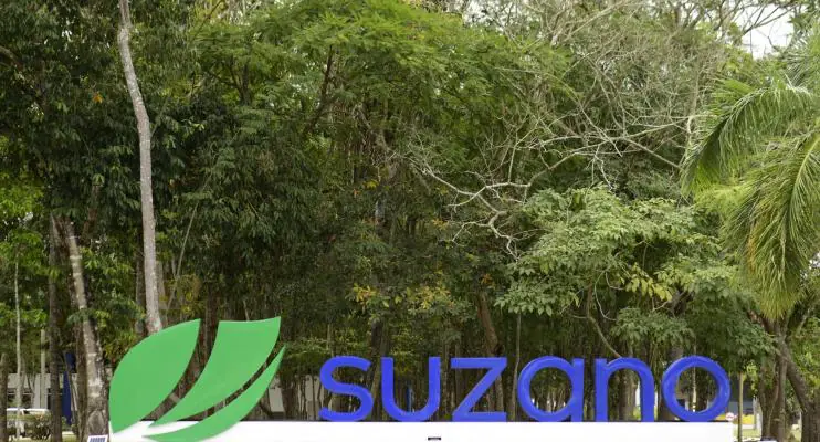 Suzano lança venture capital com US$ 70 milhões em recursos para impulsionar startups