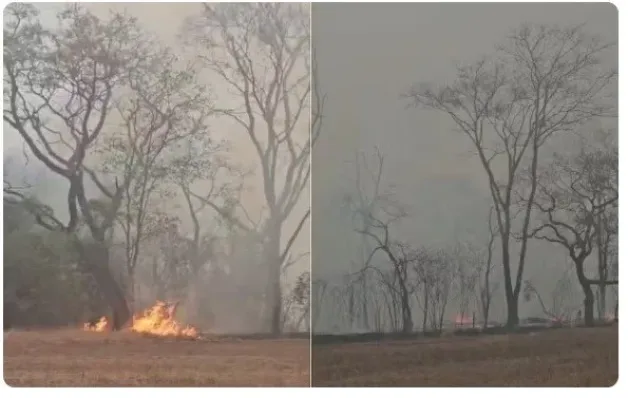 Tarcísio confirma prisões por incêndios criminosos no interior de SP