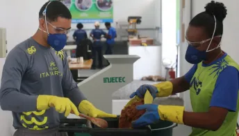 Tecnologia baiana revoluciona compostagem e reduz emissões de carbono