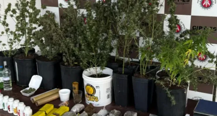 Teixeira de Freitas: Rondesp Extremo Sul apreende drogas e equipamentos para plantio