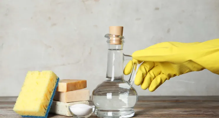 Três formas de usar o vinagre fora da cozinha (e nas limpezas)