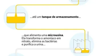 Urina humana, um fertilizante inesperado mas eficiente e menos poluente