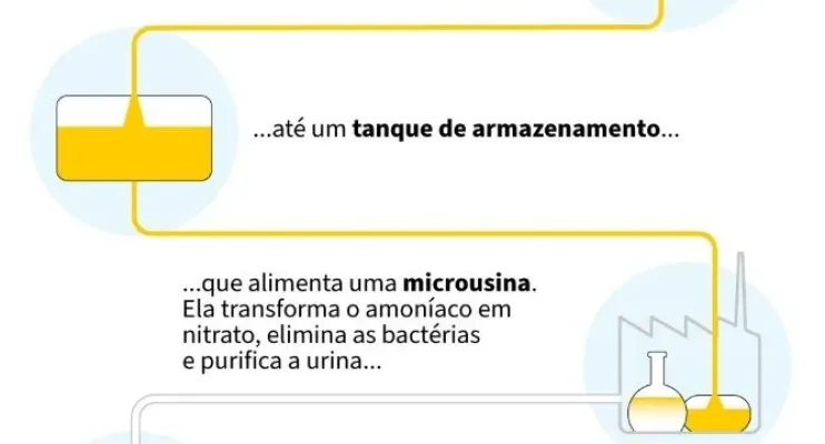 Urina humana, um fertilizante inesperado mas eficiente e menos poluente