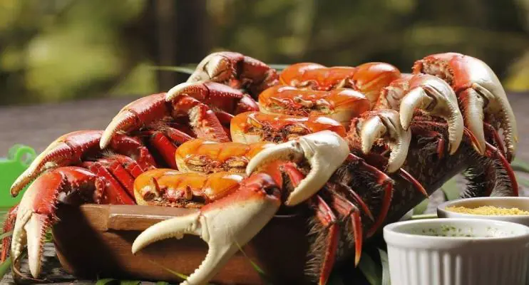 Vem aí  22ª Edição do Festival do Caranguejo de Campo Grande 
